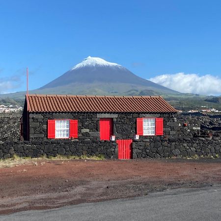 Ocean View In Unesco Heritage Site Criacao Velha エクステリア 写真