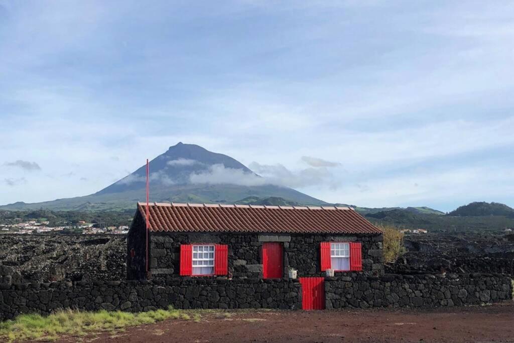 Ocean View In Unesco Heritage Site Criacao Velha エクステリア 写真
