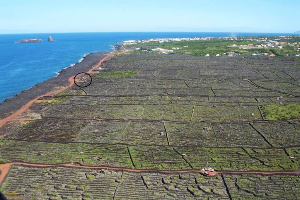Ocean View In Unesco Heritage Site Criacao Velha エクステリア 写真